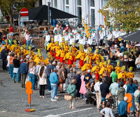 (vergroot foto)