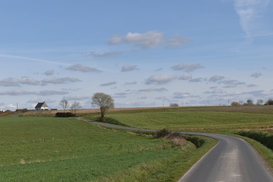 (vergroot foto)