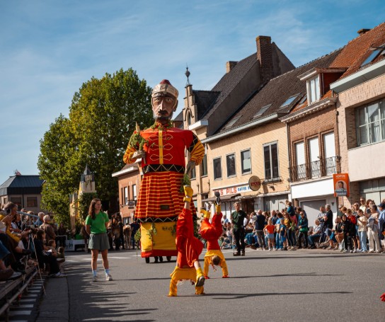 (vergroot foto)