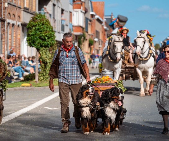 (vergroot foto)