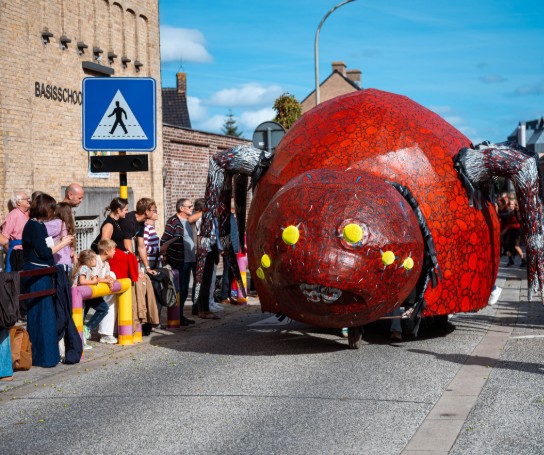 (vergroot foto)