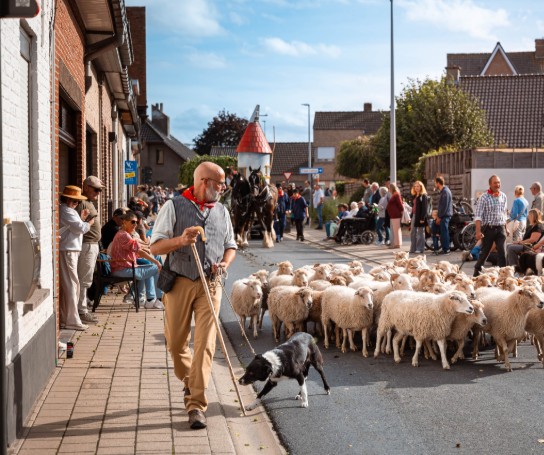 (vergroot foto)