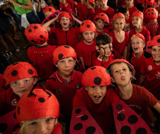  (vergroot foto)