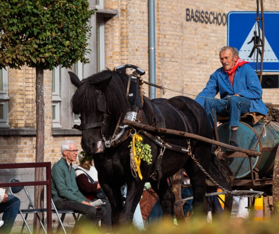 (vergroot foto)
