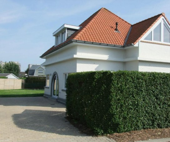  (vergroot foto)