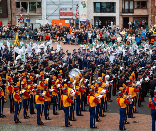 (vergroot foto)