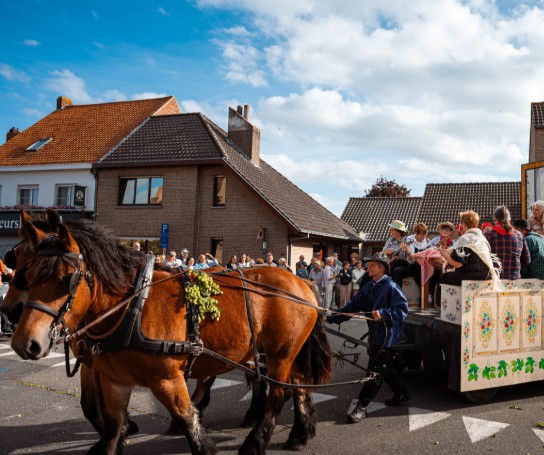 (vergroot foto)